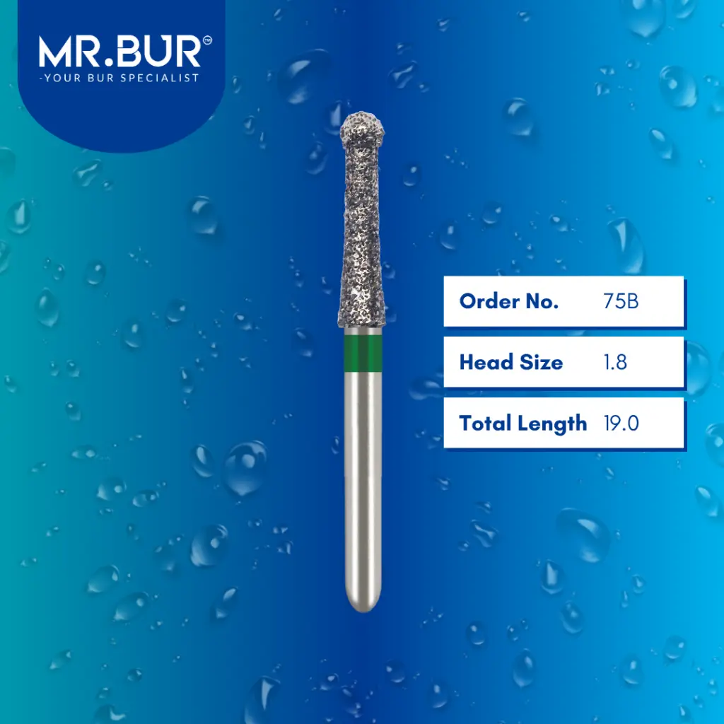 FG-Open-Chamber-Endodontic-Bur-75B.webp