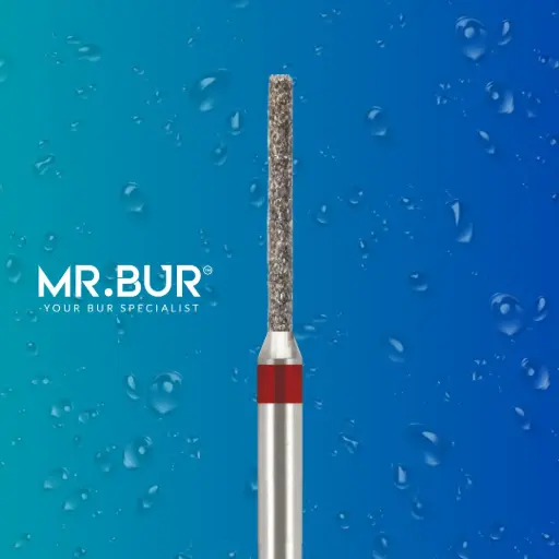 [21RAF] FG DIAMOND CYLINDER ROUNDED EDGE FINE