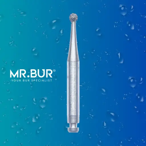 [R801/016] RA DIAMONDS BUR ROUND